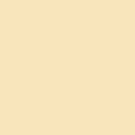 F8E5BB